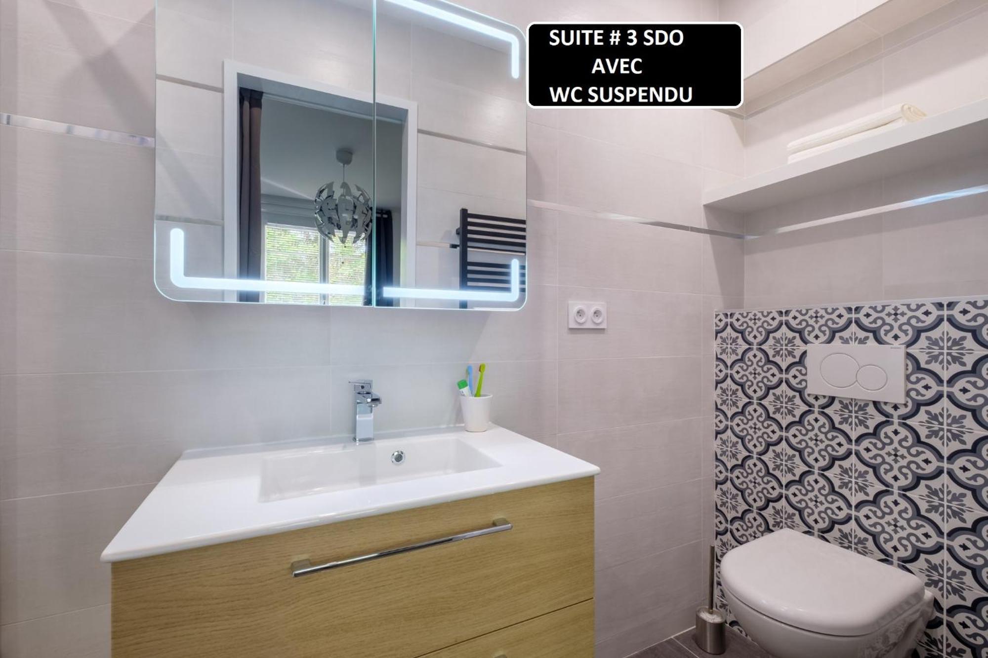 Appart 3 Suites-Chaque Suite Avec Sdo Wc Privatifs - Cuisine Commune Tassin-la-Demi-Lune Exterior photo