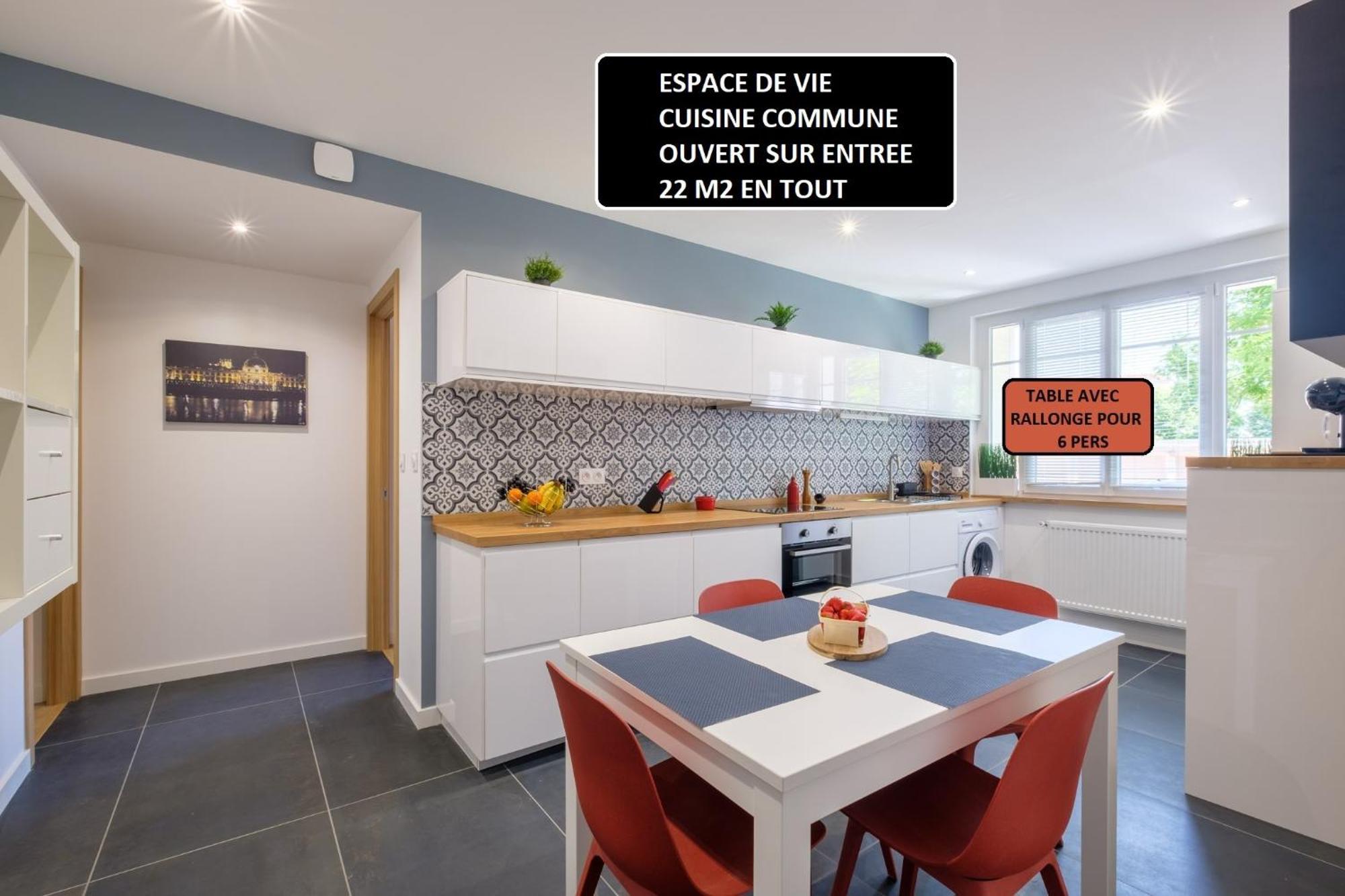 Appart 3 Suites-Chaque Suite Avec Sdo Wc Privatifs - Cuisine Commune Tassin-la-Demi-Lune Exterior photo
